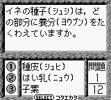 Shikakui Atama o Maru Kusuru: Kokugo Battle-hen screenshot 3 for GameBoy